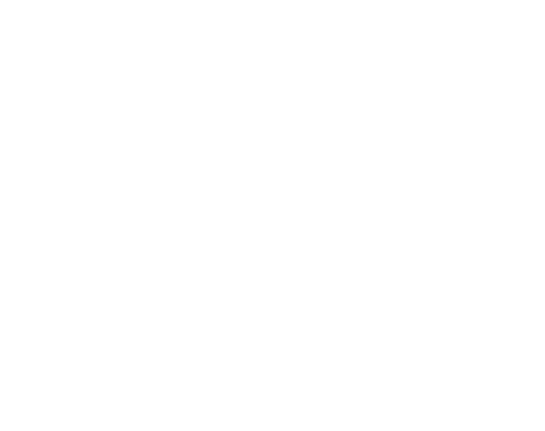 VKIS Logo